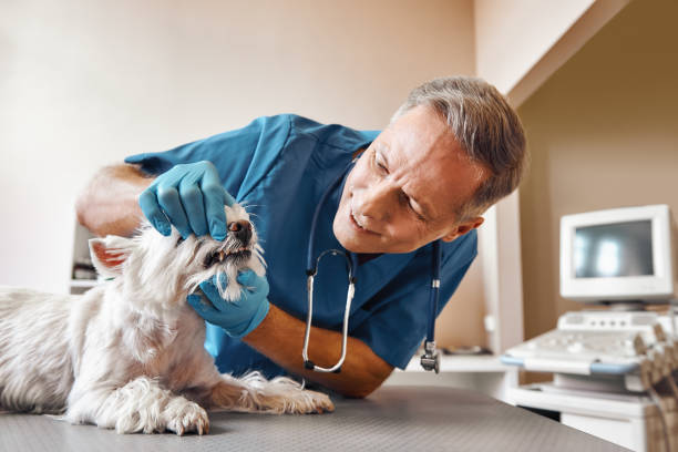 Best Emergency Dental Extractions in West Columbia, TX