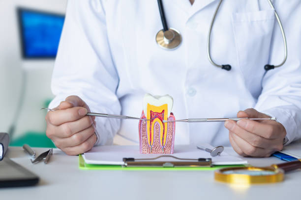 Best 24-Hour Emergency Dentist in West Columbia, TX